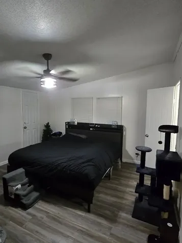 16315 Wild Oak Lane Conroe TX 77302