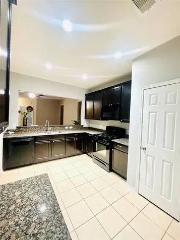 1411 S Maple Drive Katy TX 77493