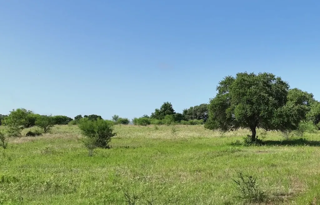 Tba Cr 209 Weimar TX 78962