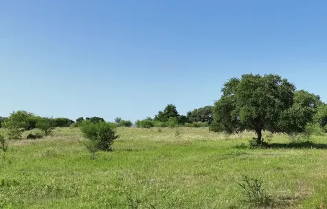 Tba Cr 209 Weimar TX 78962
