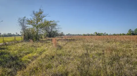 Tbd Lot 2 Podraza Road New Waverly TX 77358