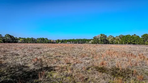 Tbd Lot 2 Podraza Road New Waverly TX 77358