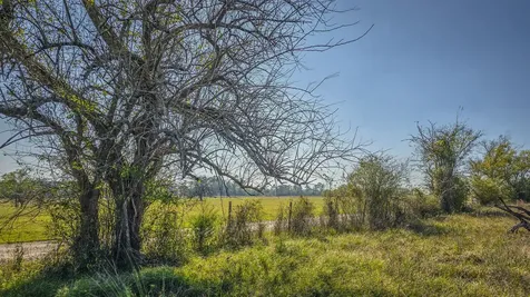 Tbd Lot 2 Podraza Road New Waverly TX 77358