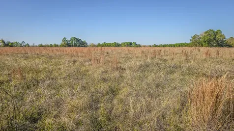 Tbd Lot 2 Podraza Road New Waverly TX 77358