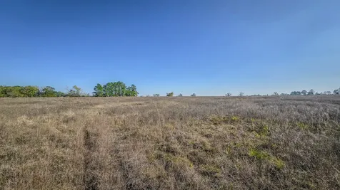 Tbd Lot 2 Podraza Road New Waverly TX 77358