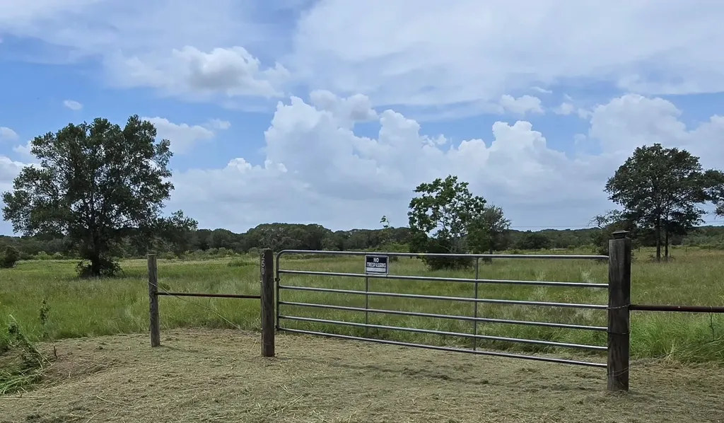 250 County Road 447 Francitas TX 77971