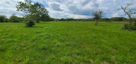 250 County Road 447 Francitas TX 77971