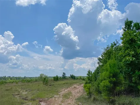 0 Us Highway 59 Corrigan TX 77351
