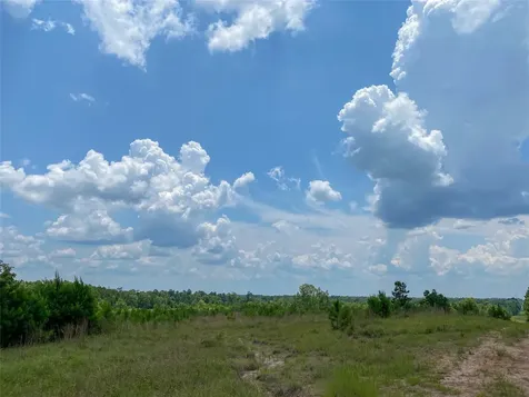 0 Us Highway 59 Corrigan TX 77351