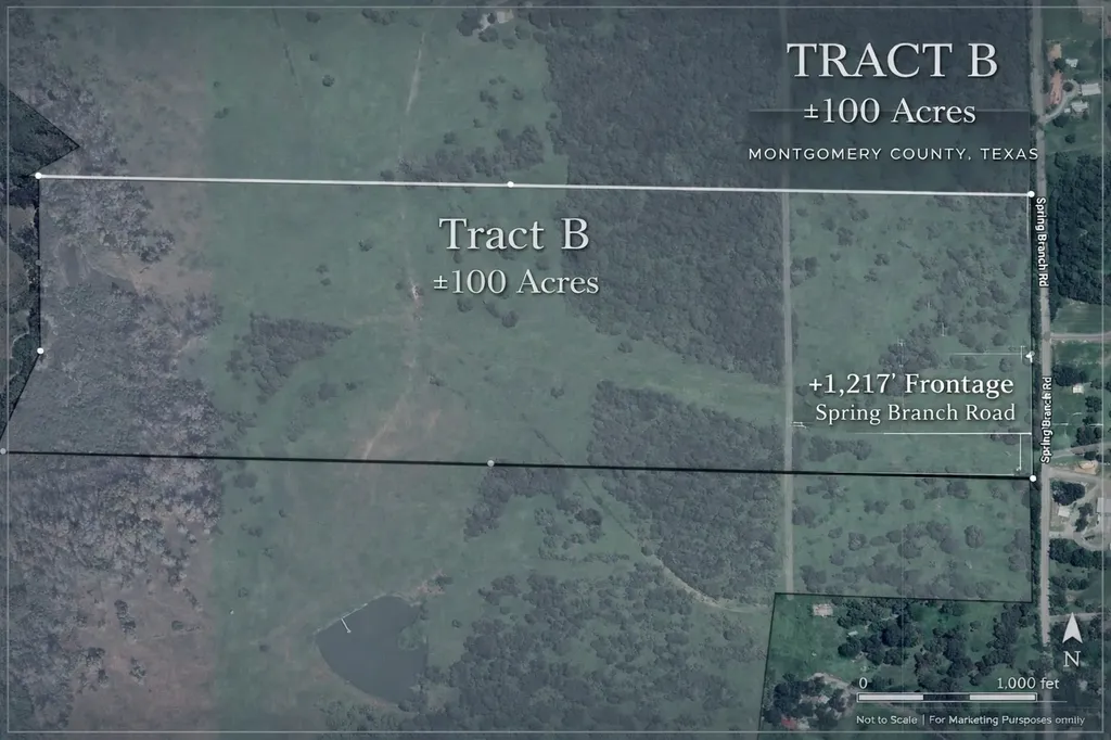 100 Acres Spring Branch Road Montgomery TX 77316