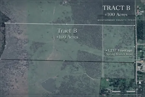 100 Acres Spring Branch Road Montgomery TX 77316
