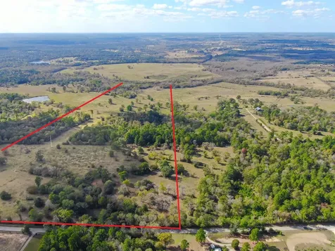 100 Acres Spring Branch Road Montgomery TX 77316