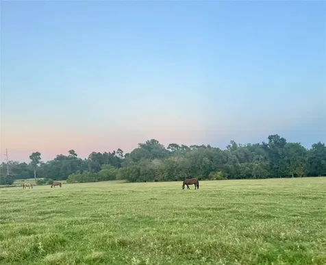100 Acres Spring Branch Road Montgomery TX 77316