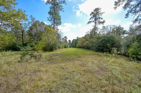 100 Acres Spring Branch Road Montgomery TX 77316