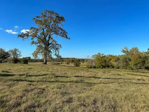 100 Acres Spring Branch Road Montgomery TX 77316