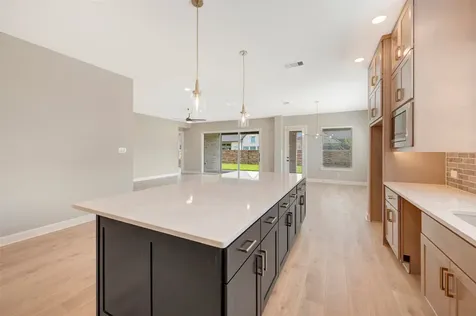 20507 Via Mimosa Drive Cypress TX 77433