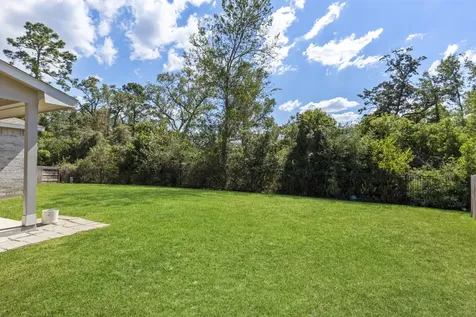28068 Dove Chase Drive Spring TX 77386