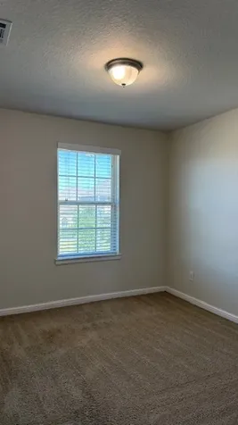 3822 Supremes Trail Spring TX 77386