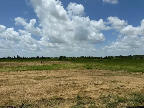 775 S Fm 441 Road Louise TX 77455