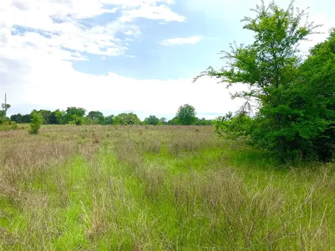775 S Fm 441 Road Louise TX 77455