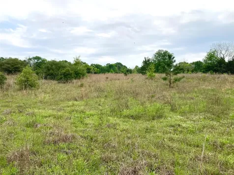 775 S Fm 441 Road Louise TX 77455