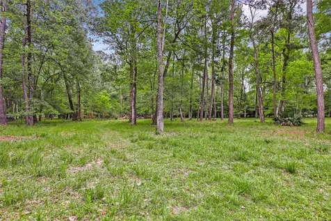 29006 Reserve Bend Drive Drive Huffman TX 77336