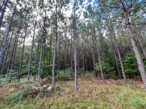1 Fm 1987 Corrigan TX 77351