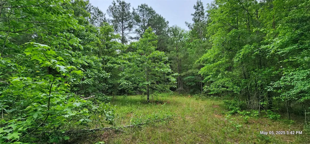 Tbd County Road 3230 Clarksville TX 75426