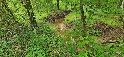Tbd County Road 3230 Clarksville TX 75426