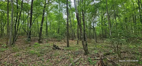 Tbd County Road 3230 Clarksville TX 75426