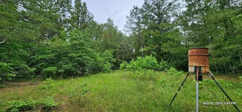 Tbd County Road 3230 Clarksville TX 75426