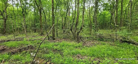 Tbd County Road 3230 Clarksville TX 75426