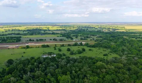Tbd Corner Of Fm 2155 And Cr 269 - 127 Acres Snook TX 77878