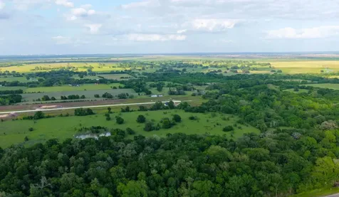 Tbd Corner Of Fm 2155 And Cr 269 - 127 Acres Snook TX 77878