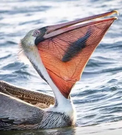 1026 N Gayle Street Gilchrist TX 77617