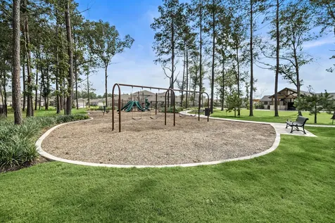20847 Wildbird Cherry Street Porter TX 77365