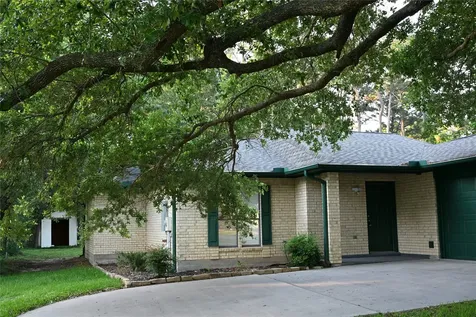 10053 W Twin Shore Drive Willis TX 77318