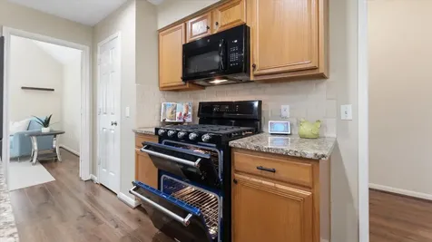 1419 Lamplight Trail Drive Katy TX 77450