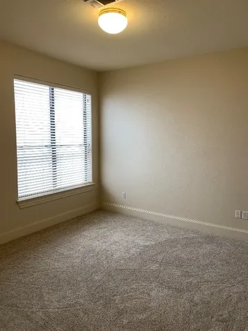 2210 Bellefontaine Street C Houston TX 77030