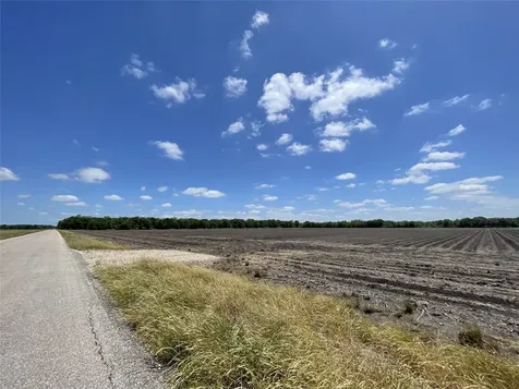 0 Charlie Meyer Road Damon TX 77430