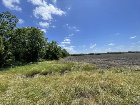 0 Charlie Meyer Road Damon TX 77430