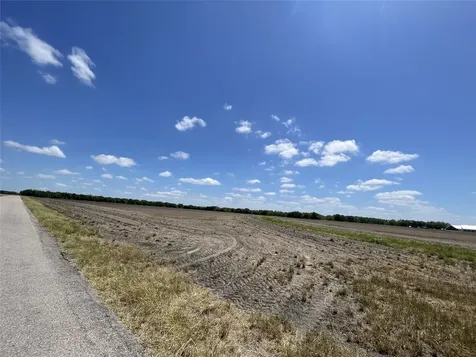 0 Charlie Meyer Road Damon TX 77430