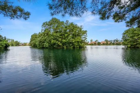 20019 Standing Cypress Drive Spring TX 77379