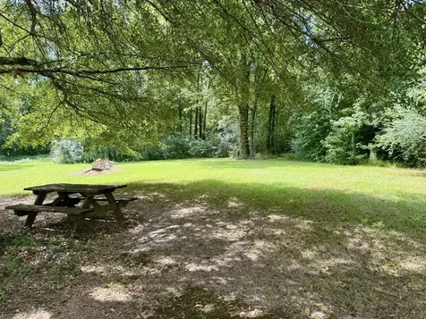 127 County Road 4109 Bronson TX 75930