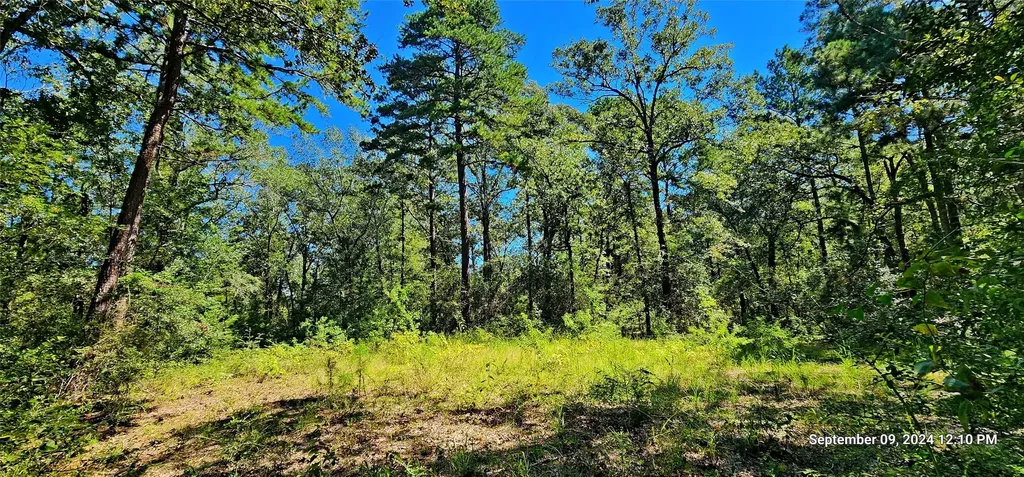 Tbd Zed Creek Road Lufkin TX 75904