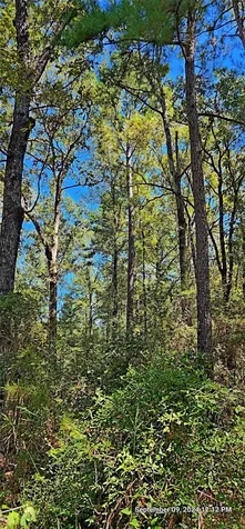 Tbd Zed Creek Road Lufkin TX 75904