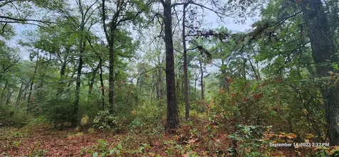 Tbd Zed Creek Road Lufkin TX 75904