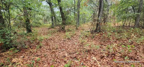 Tbd Zed Creek Road Lufkin TX 75904