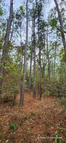 Tbd Zed Creek Road Lufkin TX 75904