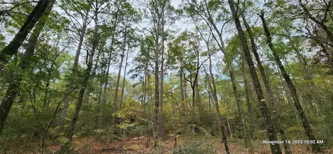 Tbd Zed Creek Road Lufkin TX 75904